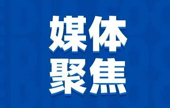 媒體聚焦 | “地瓜經(jīng)濟”為什么能贏？海亮股份是這樣做的